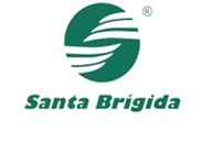 Santa Brigida